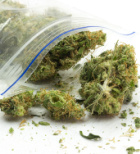 גב תפוס - תמונת אווירה